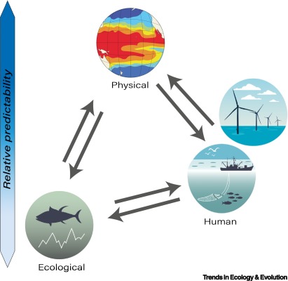 Online now: Climate mediates the predictability of threats to marine biodiversity dlvr.it/TJkGFq