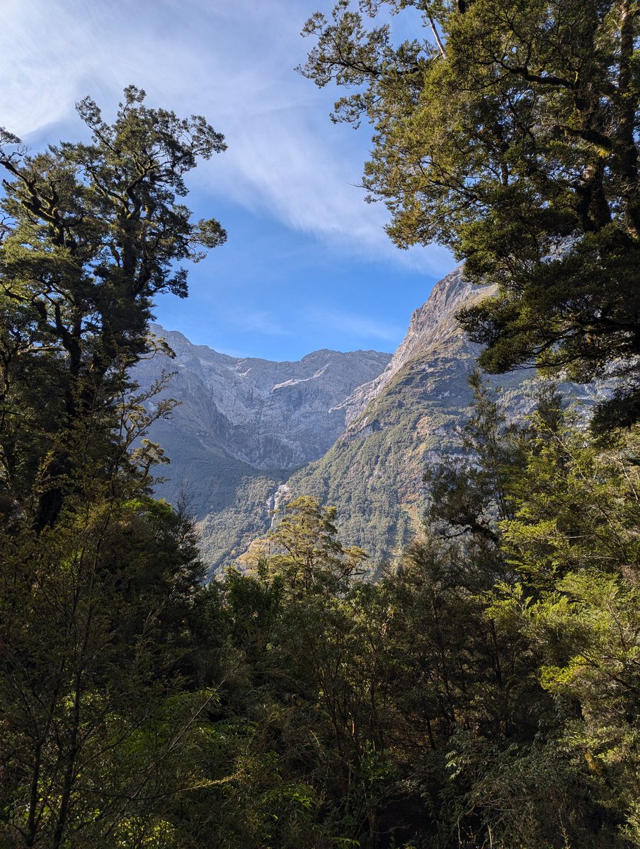 chels! ☻ tweet media