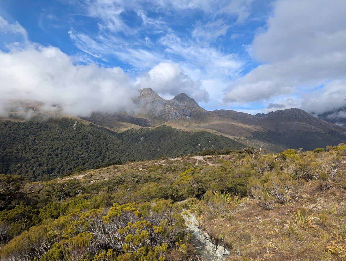 chels! ☻ tweet media