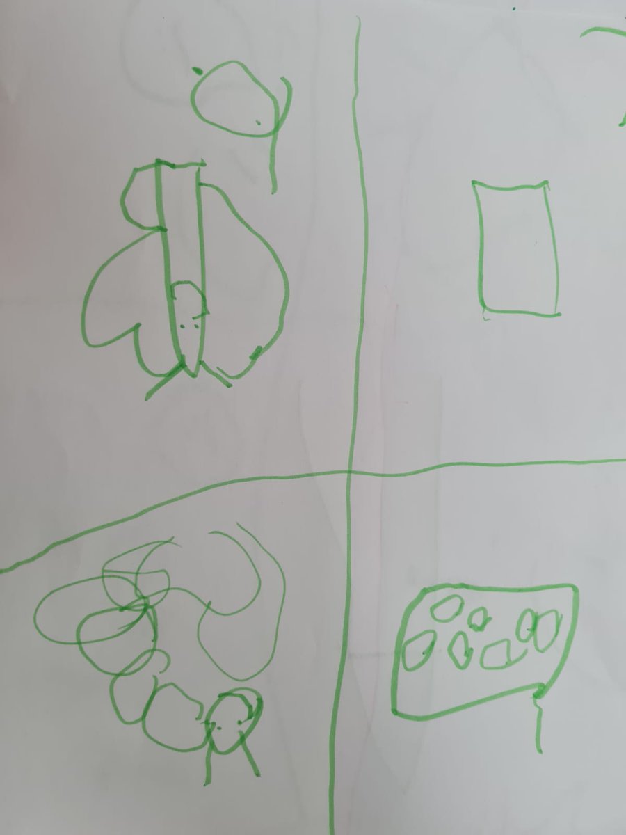 In nursery, we've loved learning about the life cycle of a caterpillar  and have drawn the different stages of the cycle.