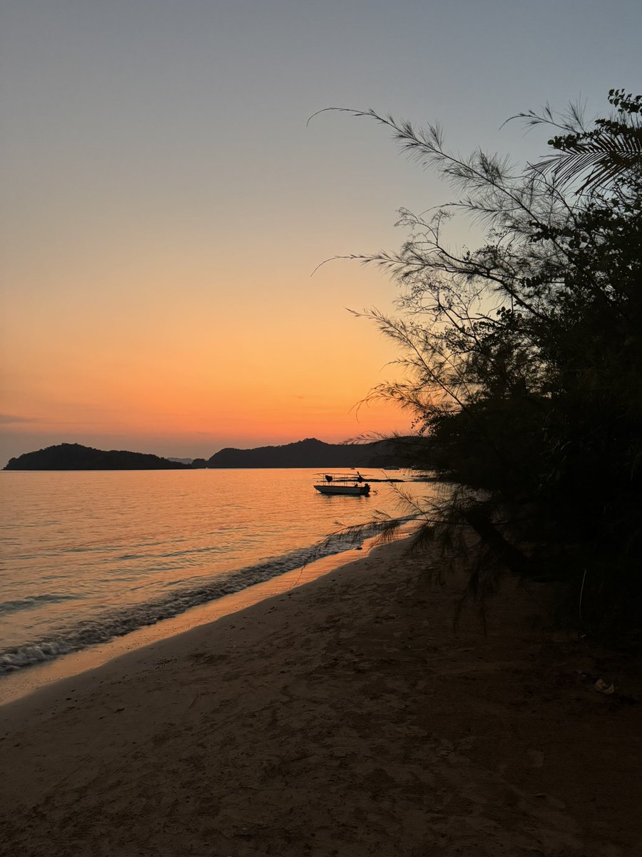 Matthias Tanzmann tweet media