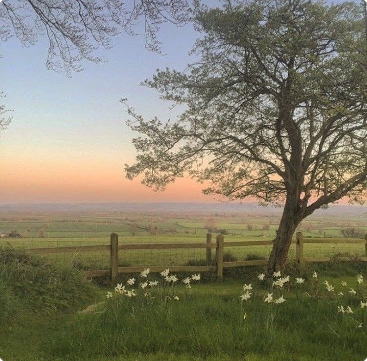 The life we invested in <a href="/cookiie0304/">cookie</a> 🫶🏼