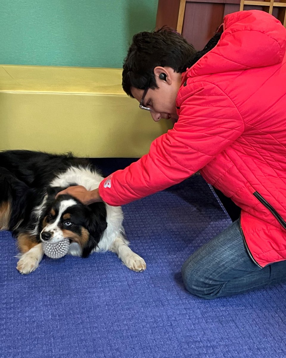 ShrinersBoston's tweet image. Milo’s Back! 🐕‍🦺 One of our favorite therapy dogs brought smiles to so many patients at Shriners Children’s Boston during a recent visit. There’s nothing like a little puppy love to brighten the day. 😊

#ShrinersChildrens #PetTherapy