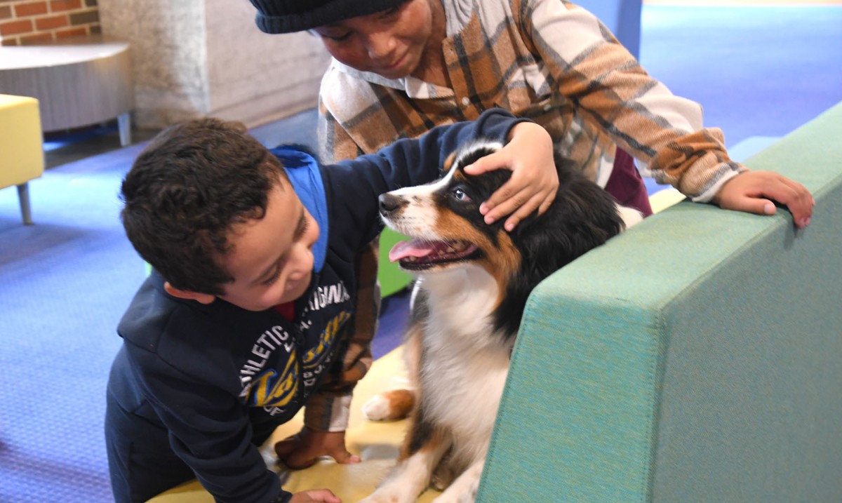 ShrinersBoston's tweet image. Milo’s Back! 🐕‍🦺 One of our favorite therapy dogs brought smiles to so many patients at Shriners Children’s Boston during a recent visit. There’s nothing like a little puppy love to brighten the day. 😊

#ShrinersChildrens #PetTherapy