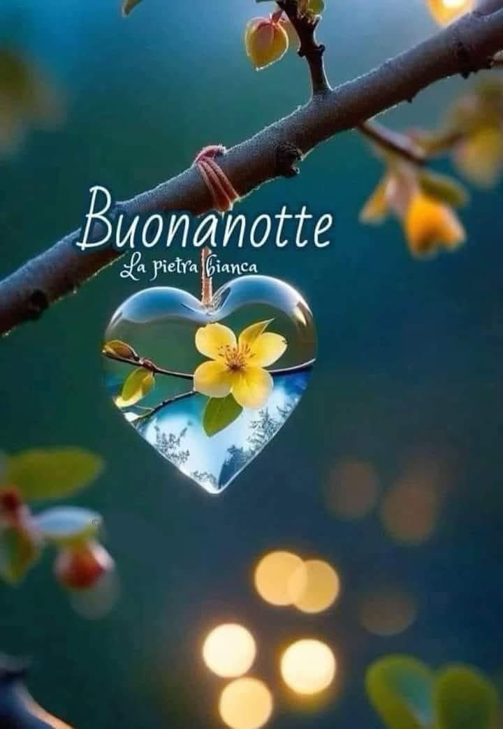 RITABIANCHi56 tweet media