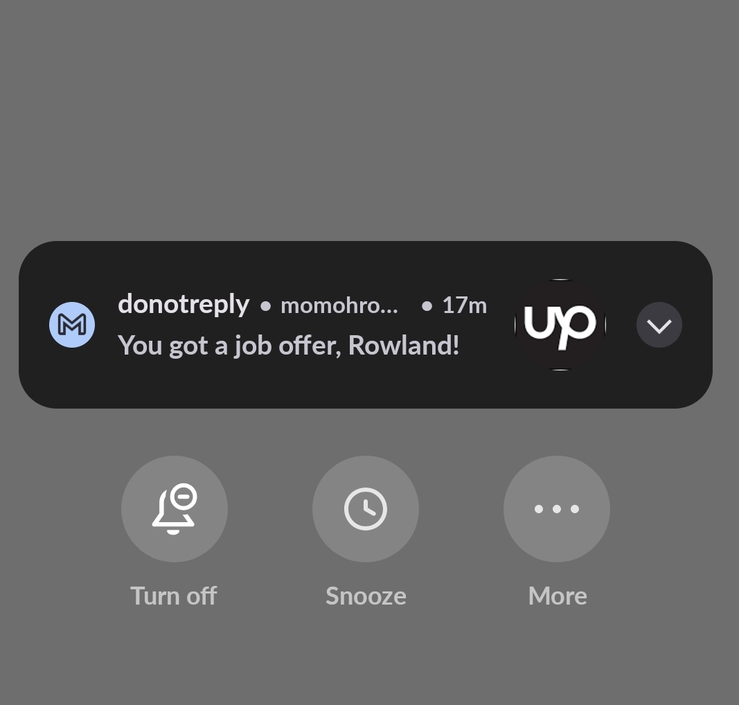 rolex.dev tweet media