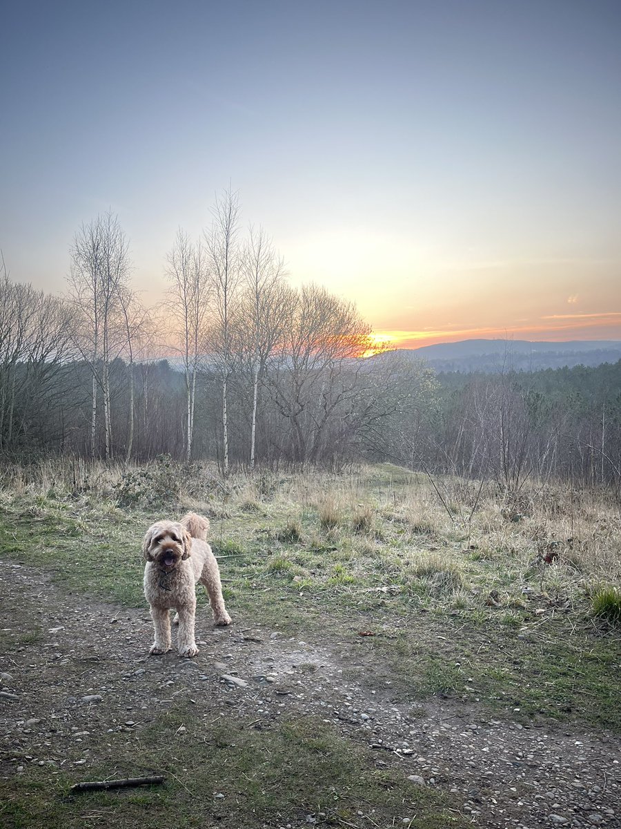 Sunset walk with my favourite little guy. Some much needed fresh air after a manic Monday 👌