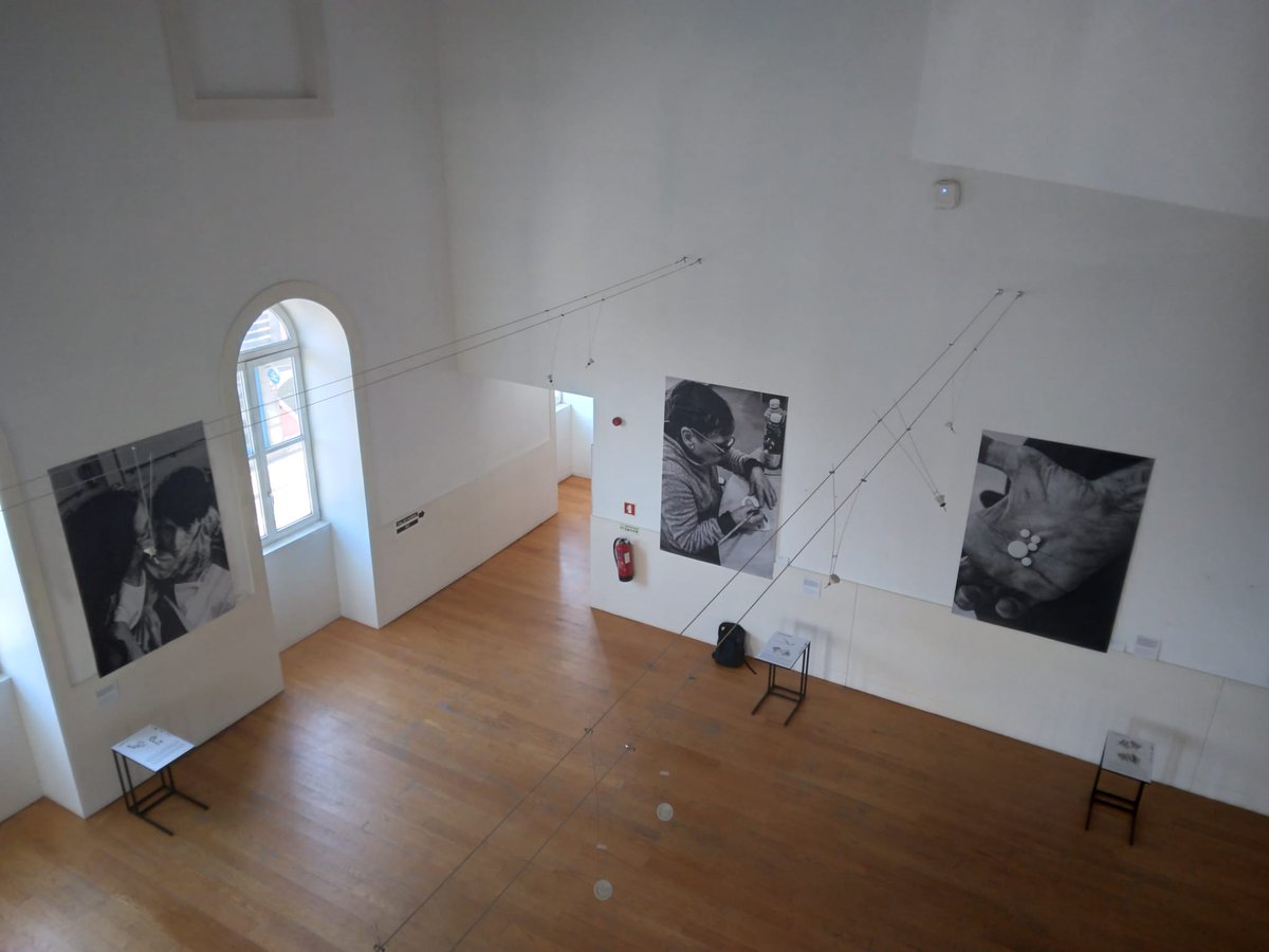 Sandra Ribeiro Lab tweet media