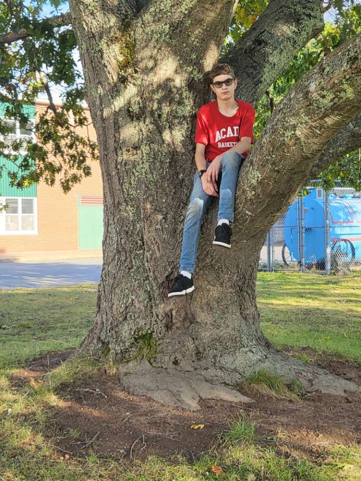 Elli97009Donald's tweet photo. Don't mind me just chilling in a tree https://t.co/I0jU1U7SOA
