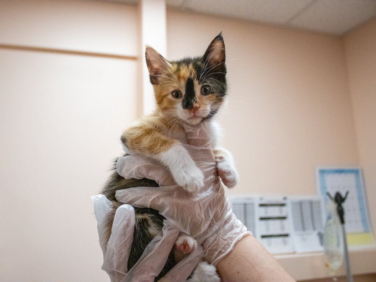 We’re so excited to announce that we're a <a href="/PetSmartChariTs/">PetSmart Charities®</a> grantee! Grant funds will go directly toward helping pets and those who love them! Thanks to your donations at <a href="/PetSmart/">PetSmart</a> stores, we’re able to make an even bigger difference for families with pets in our community.