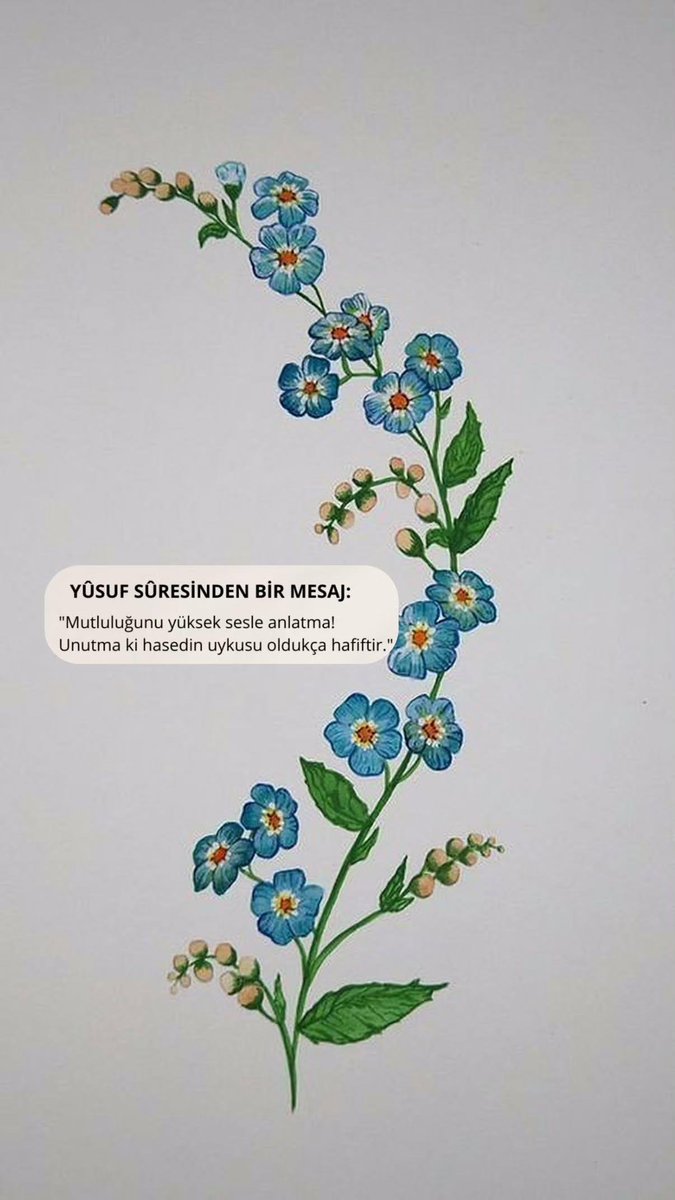 Mavera (@acz_mavera) on Twitter photo 