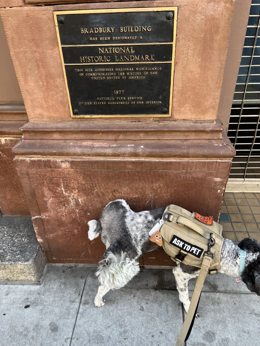 jorjeevich's tweet photo. Поссал на national historic landmark https://t.co/PMH3IEH6QO