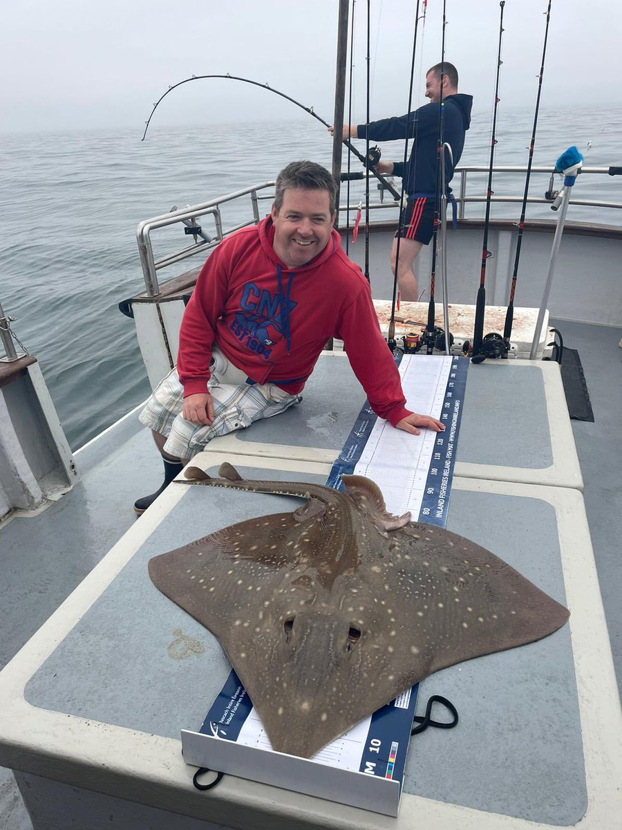 CourtmacAngling tweet media