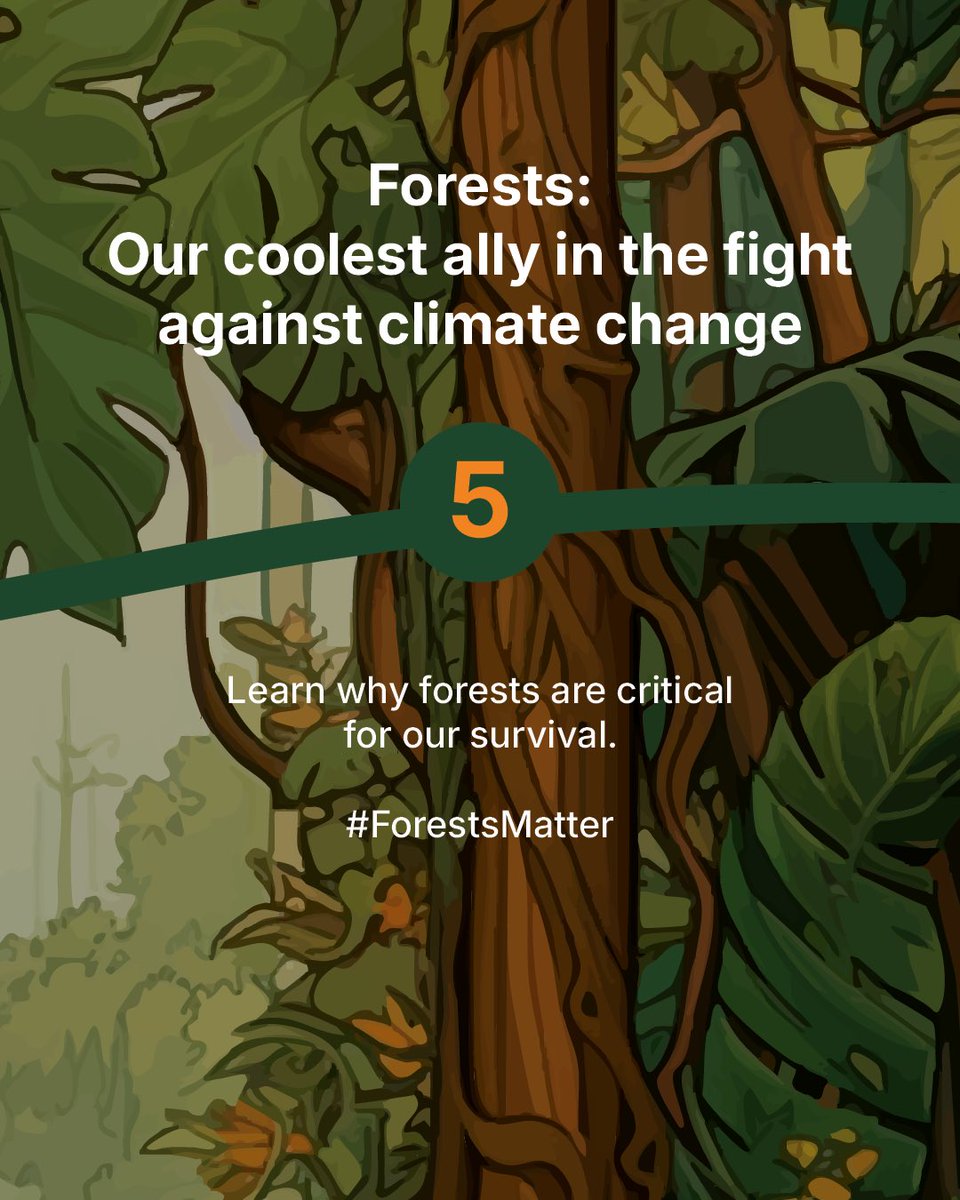 CIFOR_ICRAF's tweet image. As we confront the sobering reality that 2024 marked the first year global temperatures exceeded the 1.5 °C threshold, recognizing the vital role of forests and trees in climate regulation has never been more crucial.

Read ➡️: bit.ly/4hi7MQA

#ForestsMatter