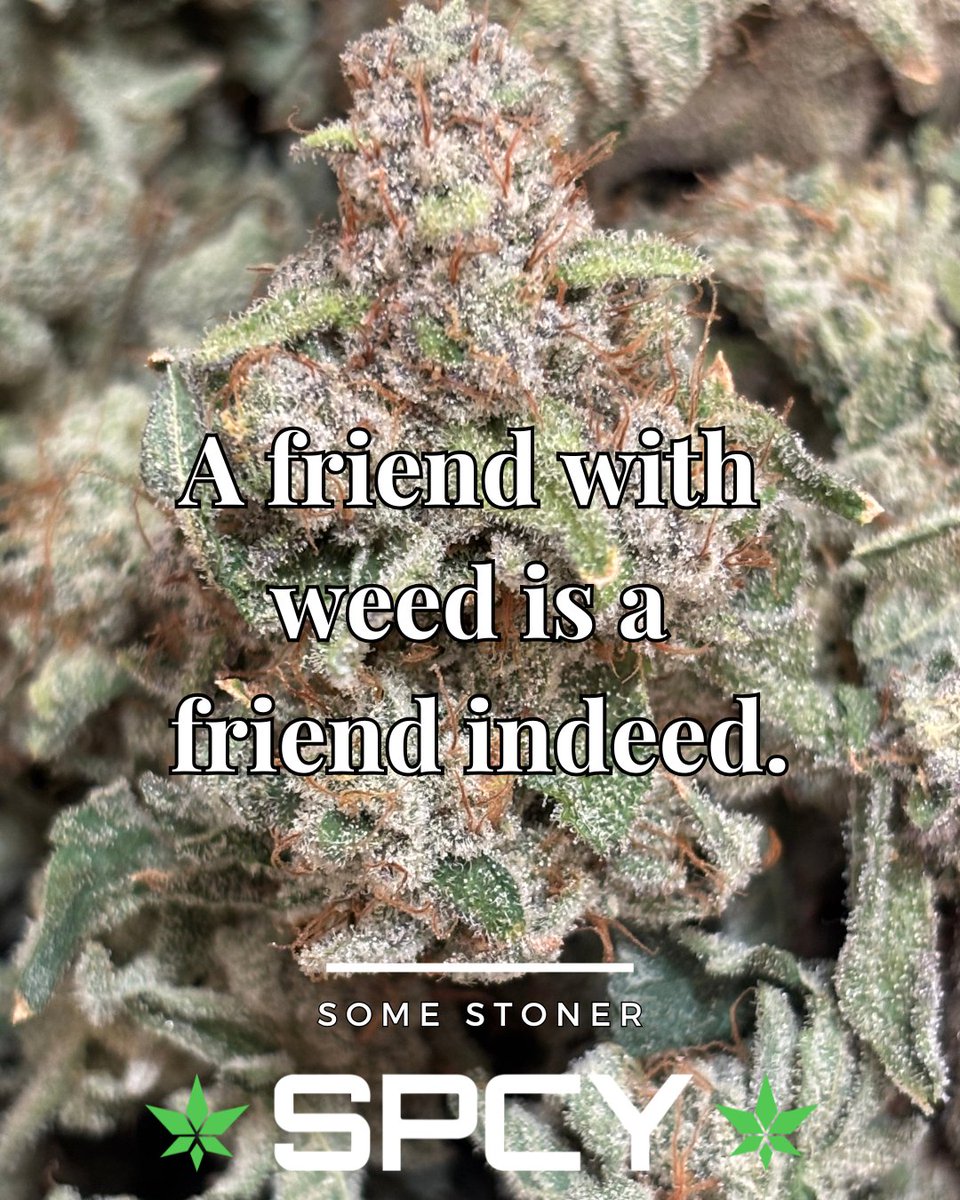 spcycanna's tweet image. Happy Monday friends! Lets make this another amazing week with something SPCY 😁
#surfrseeds #cuttingedgesolutions #mountainliongardensupply #cannaradogenetics #highrulegenetics #bloomseedco #riotseedco #cannabiscommunity #cannabisculture #ouid #weedstagram #cannabissociety