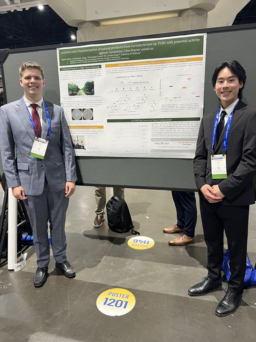 Come see Payton and Chris’s awesome poster at #ACSSpring2024