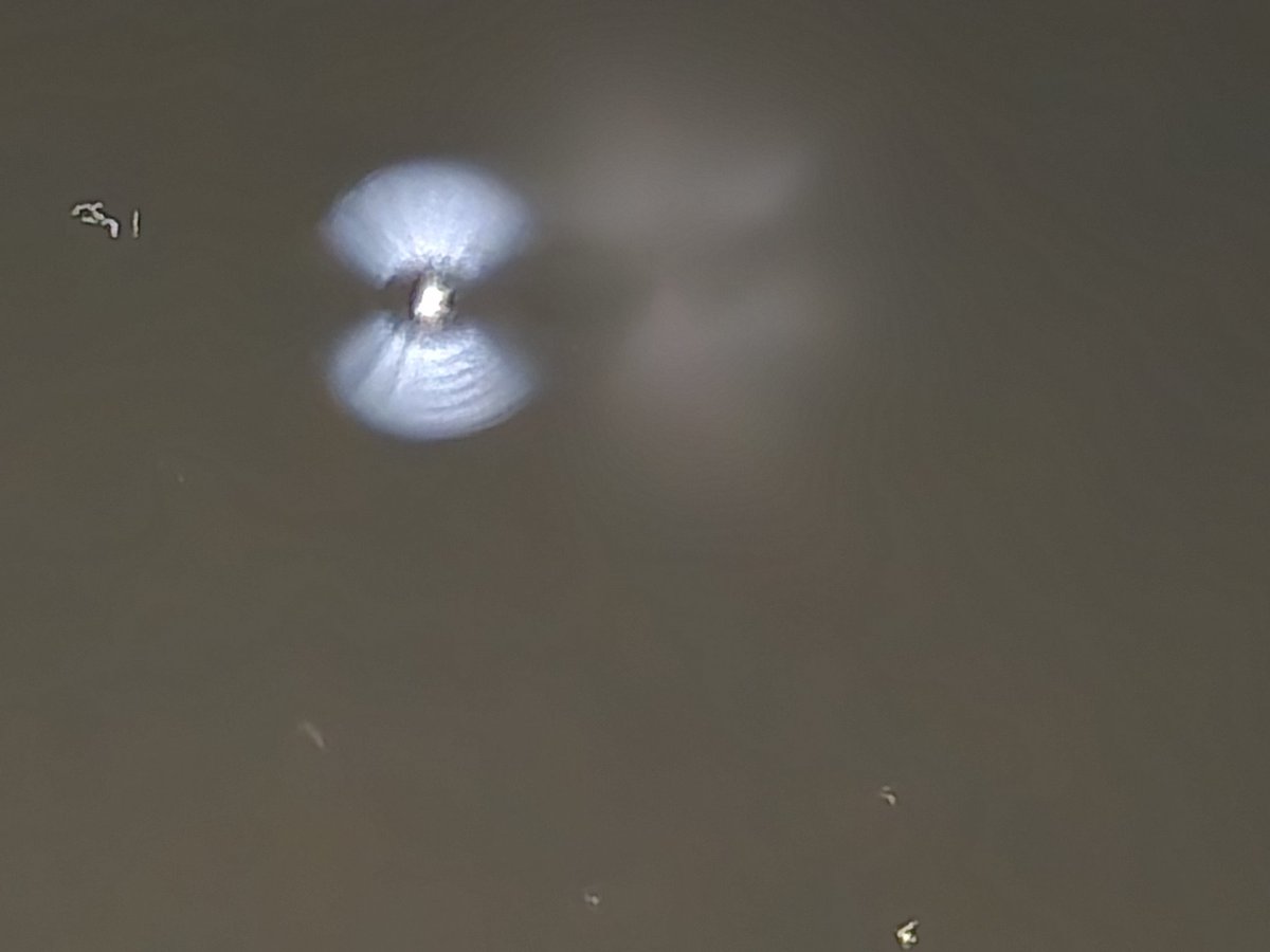 Karen Goss tweet media