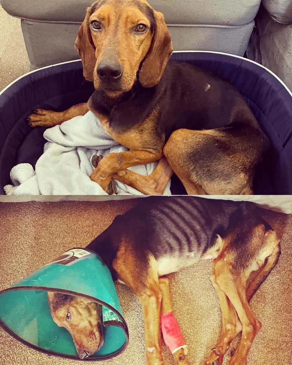 C Y P R US

This is what #Cyprus looks like after the #hunting season ends.

Nothing. Changes.

Please read. Please share.