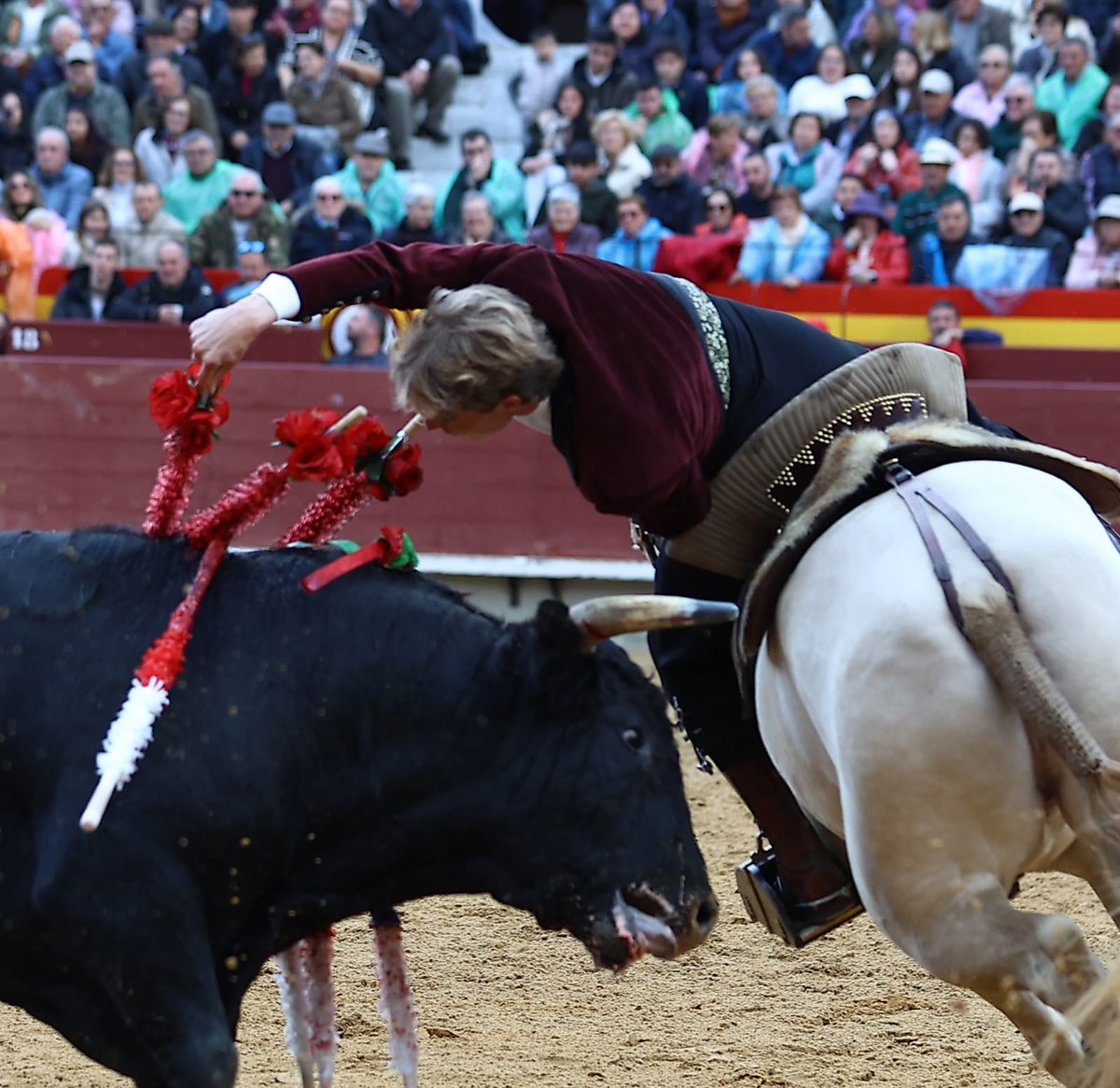 Castellón. Un debut de categoría. Una tarde de entrega máxima.

¡¡Gracias Castellón!!

#DuarteEsElFuturo