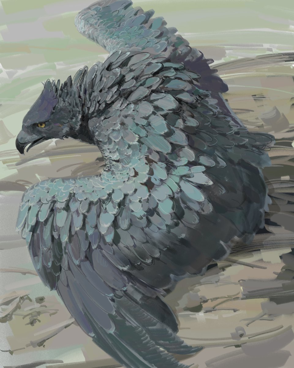 콜필드 Caulfield / 아트브루 tweet media