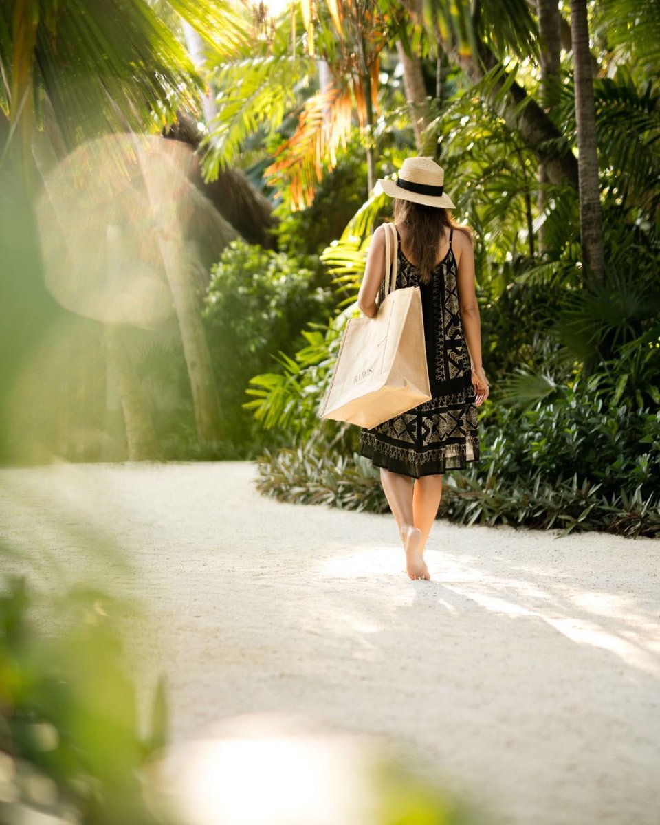 BarosMaldive's tweet photo. The beauty of Baros is legendary. Our team has spent five decades nurturing the lush and tranquil environment of our island. Visit Baros and experience exceptional hospitality within the serenity of a tropical paradise. Book today through the link in bio. 

#BlissfulBaros https://t.co/WUfx4mEM76