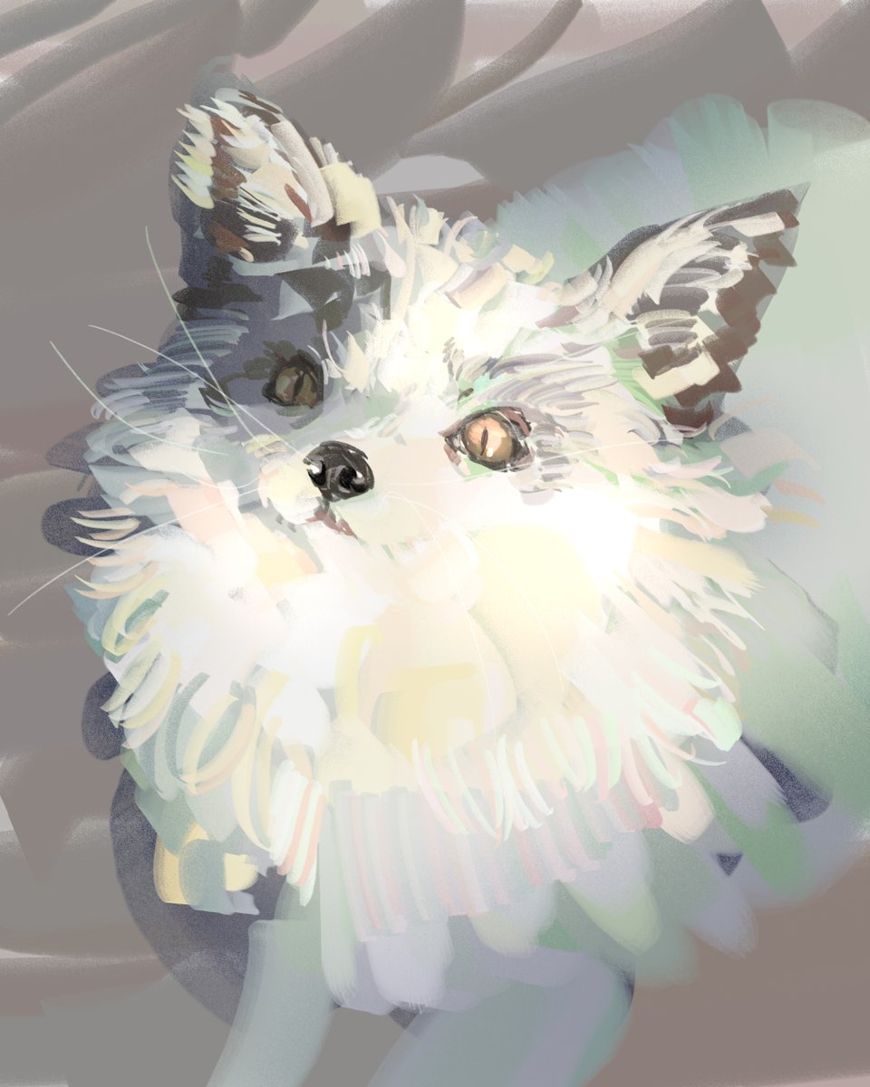 Animal studies 5
동물이 컴플렉스였는데 감격적이다