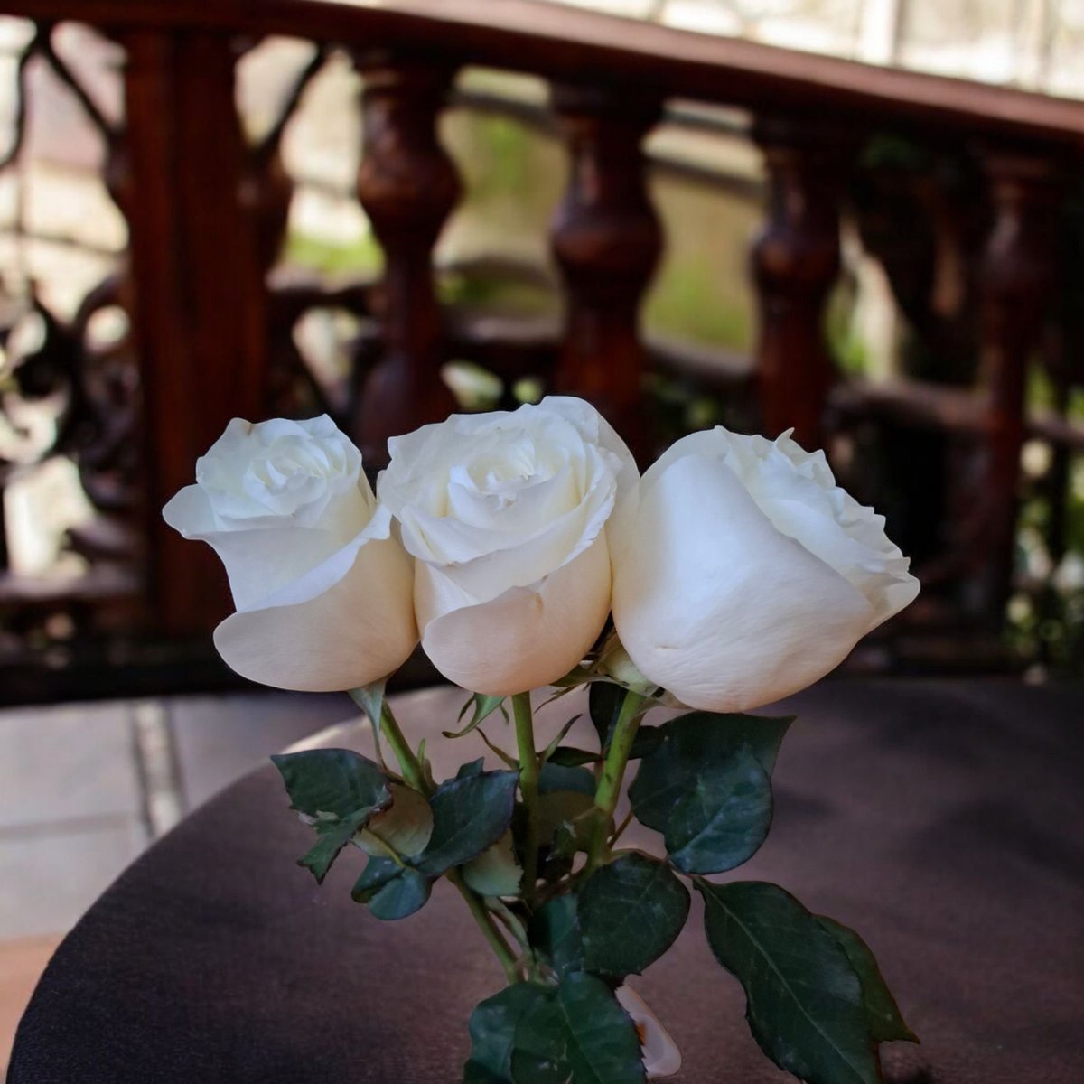 Happiness hides in life’s little, warm moments 🥰