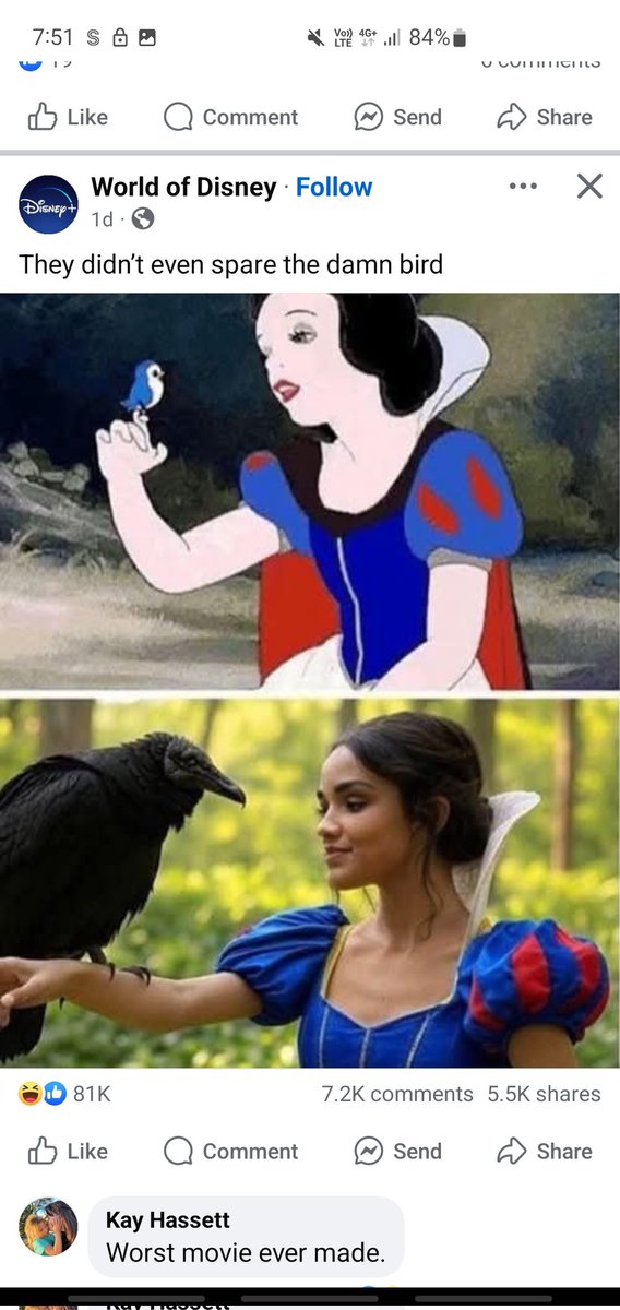 Benny boy tweet media