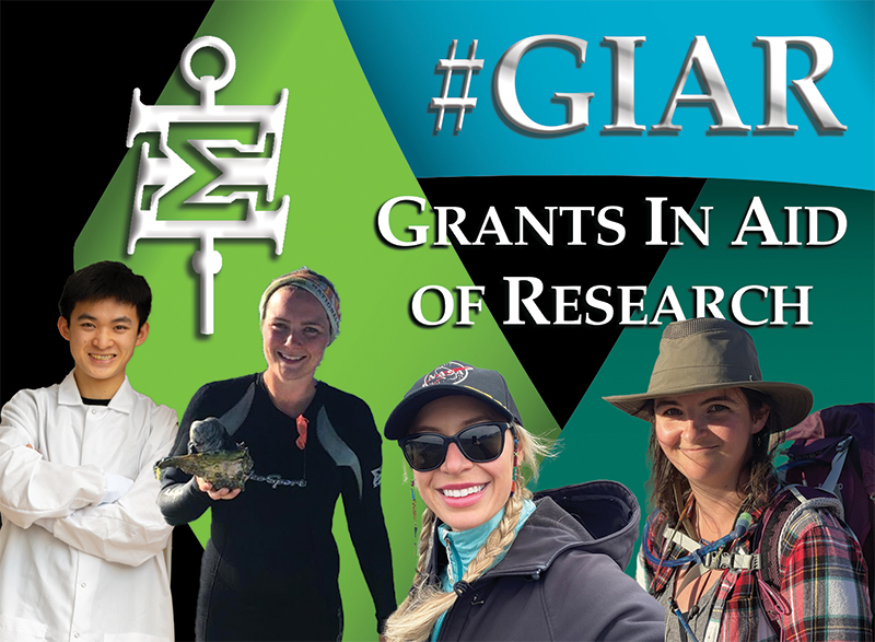 SigmaXi (@sigmaxisociety) on Twitter photo Great news for college and grad school #STEM students—our spring GIAR application deadline has been extended to March 31! For info, form links, and grant application tips visit sigmaxi.org/GIAR. Great news for college and grad school #STEM students—our spring GIAR application deadline has been extended to March 31! For info, form links, and grant application tips visit sigmaxi.org/GIAR.