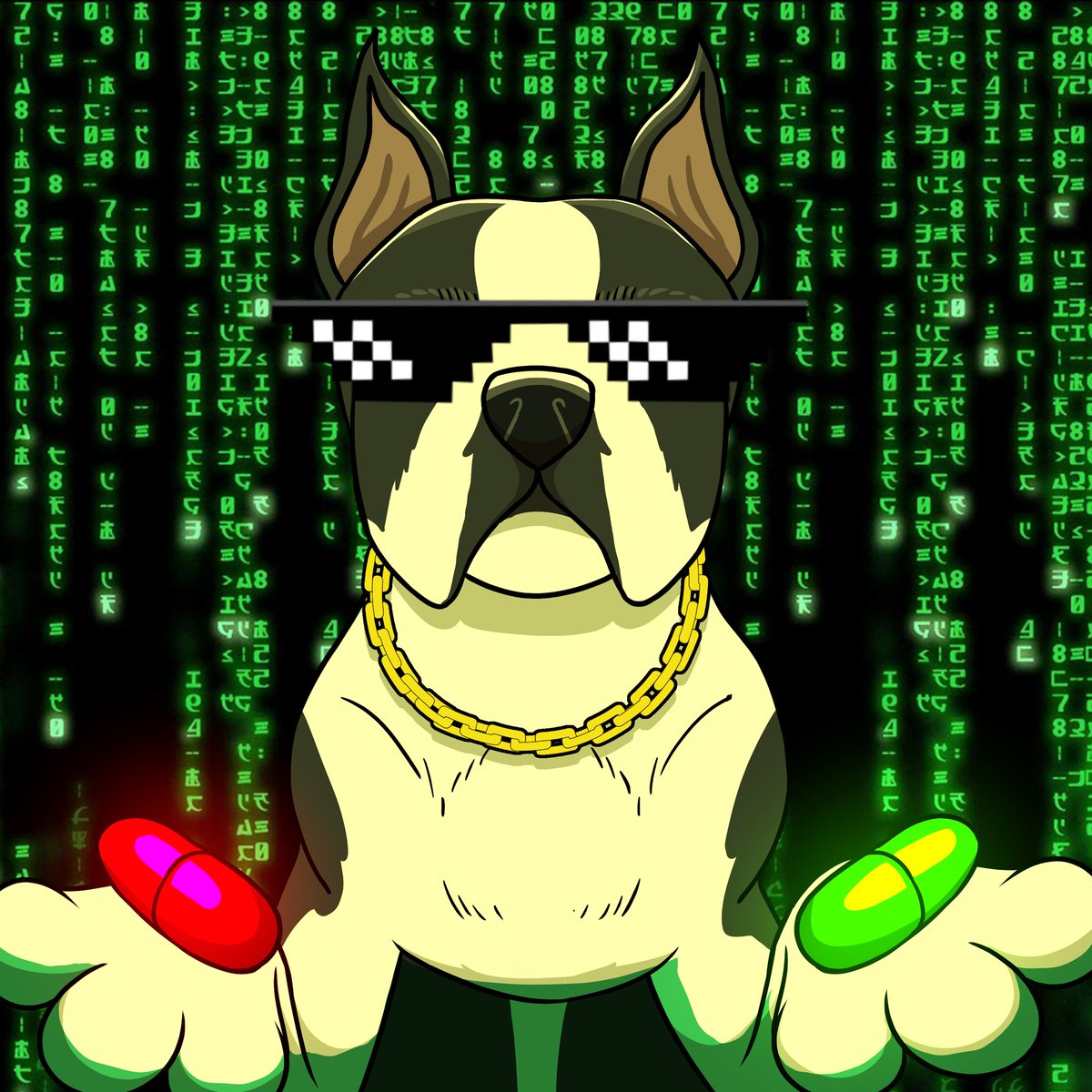 DugOnXRP's tweet photo. @crypto_queen_x @phnix_xrp Welcome to the Dug Life 🦴 https://t.co/qs5OZyo0Zd