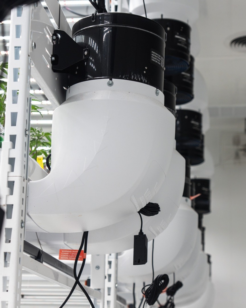 Make Your Leaves Dance 💃🌿

Our In-Rack Airflow Systems are engineered to eliminate microclimates, improve circulation, and keep your canopy thriving at every level. 💨 More consistency, more efficiency, and more yields.