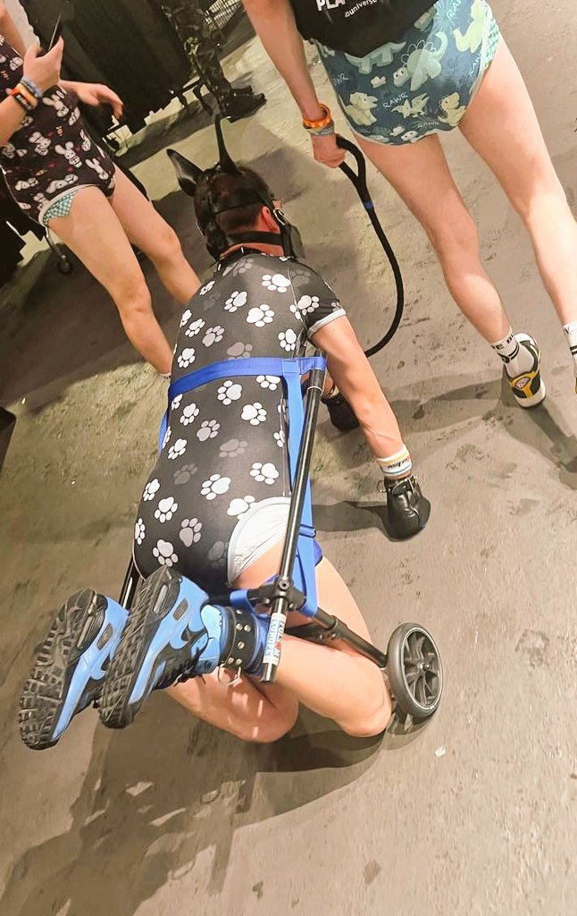 Well, I did this "thing" again 😅
I can't say I like it, but I can't say I don't like it either 🙈🐾