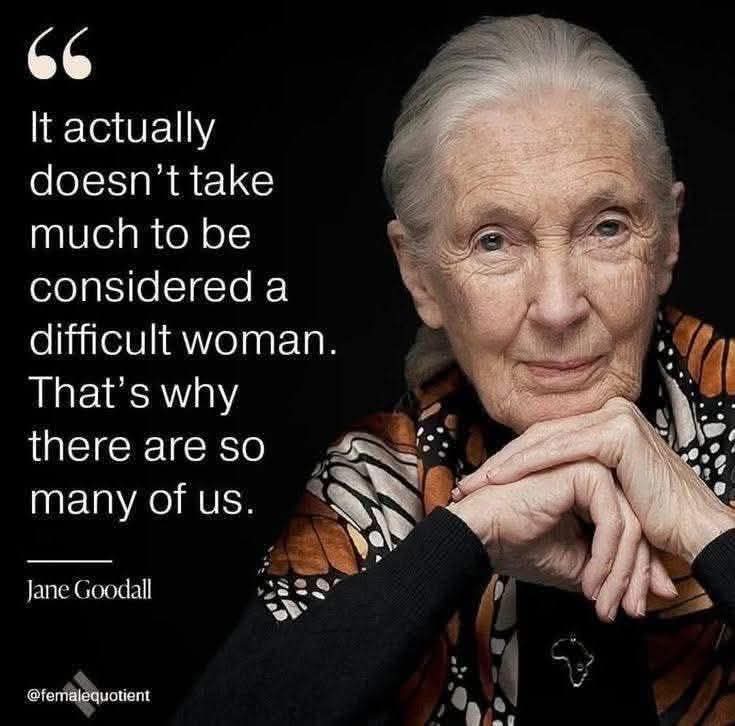 Noshitdelilah's tweet image. 