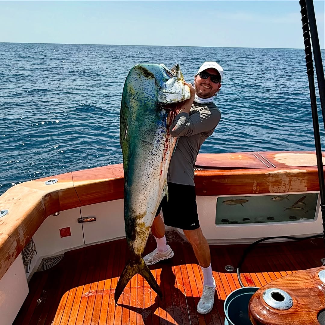 #MahiMonday! This XL dorado was caught in Costa Rica and weighed in at 65.2 lbs!

@uptight_sportfishing
.
.
.
.
.
.
.
.
.
.
#BDOutdoors #bdoutdoorsdotcom #bloodydecks #offshorefishing #socal #fisherman #anglers #dorado #mahi #dolphinfish #dolphin #mahimahi ##costarica