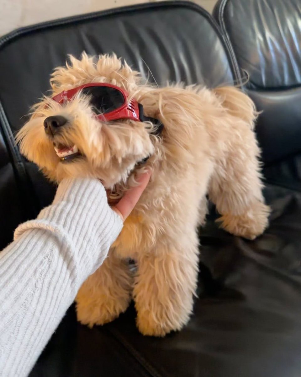 Xiaoqi said, "Mom took me out to play."