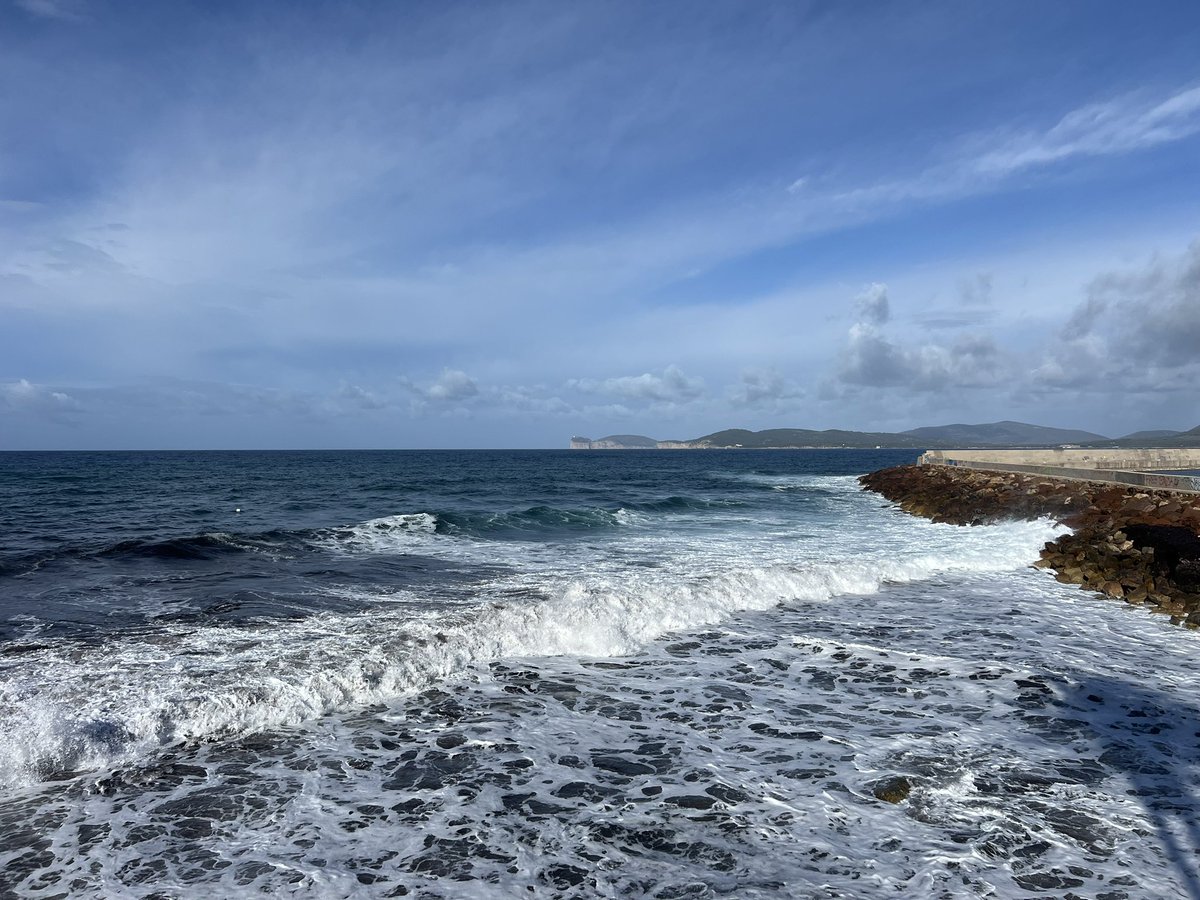 insopportabile tweet media