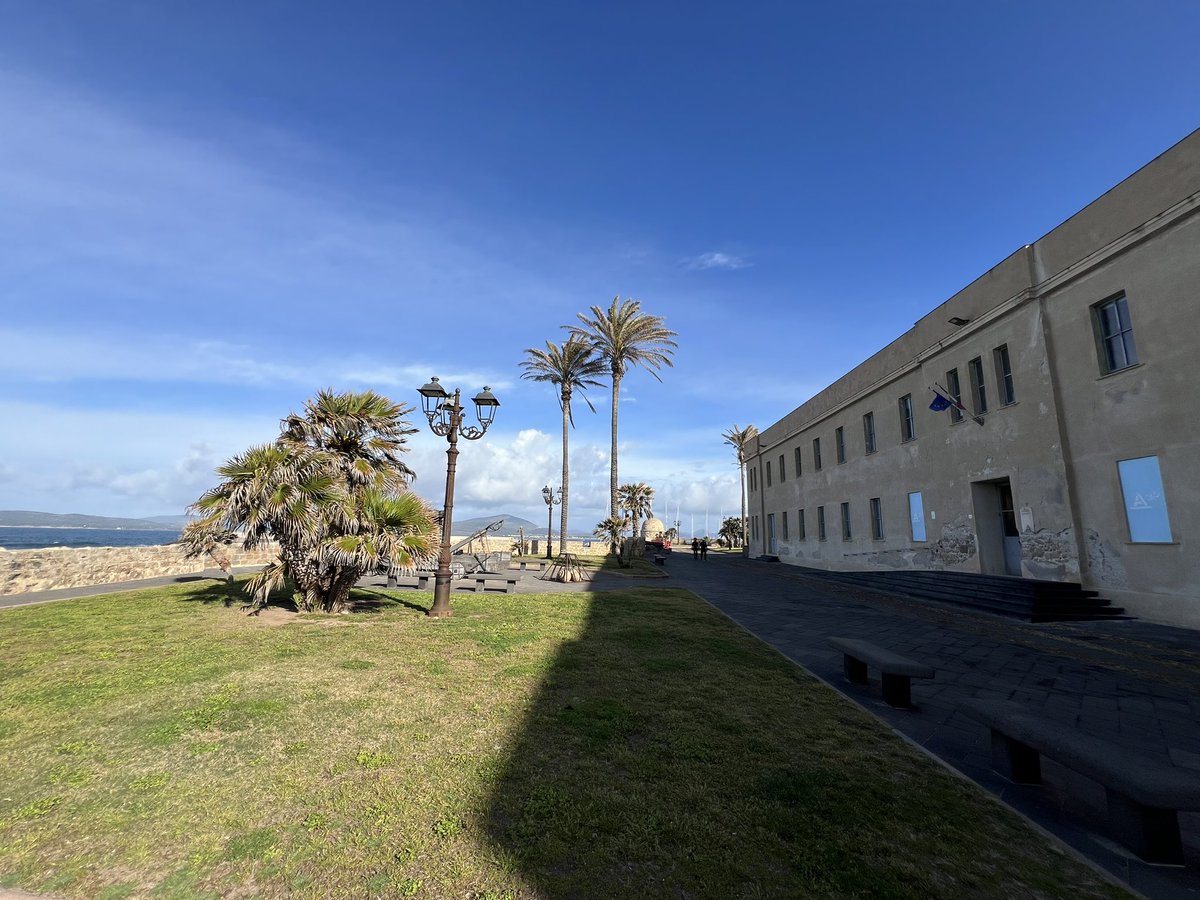 insopportabile tweet media