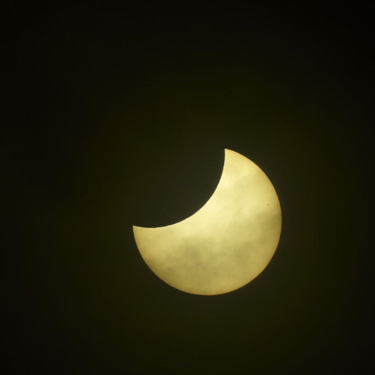 AstronomischeL's tweet photo. Erleben Sie die partielle Sonnenfinsternis am Observatorium Hoher List, Schalkenmehren  🔭
Sa, 29. März - ab 10:00 Uhr 

https://t.co/22AHgMFNDz

Foto: A. Jungnickel https://t.co/SMc5sNXsw2