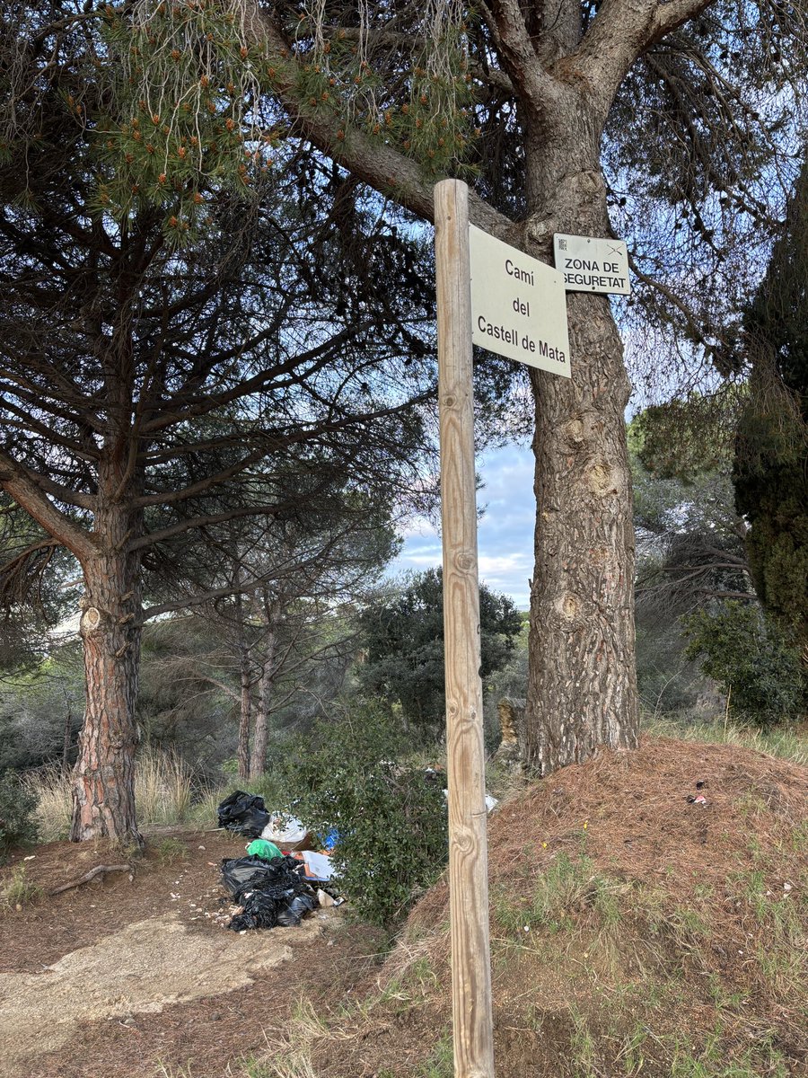No només hi ha brutícia a la ciutat, a bosc també. <a href="/mataroneta/">Mataró Bruta</a> <a href="/DBotePaz/">David Bote Paz</a> <a href="/matarocat/">Ajuntament de Mataró</a> fins en aquest punt hi podeu fer arribar una furgoneta, que no costa res!