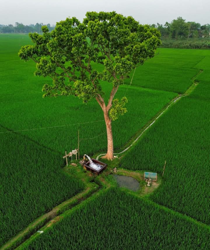 😎📷✌️
💚🌳💚