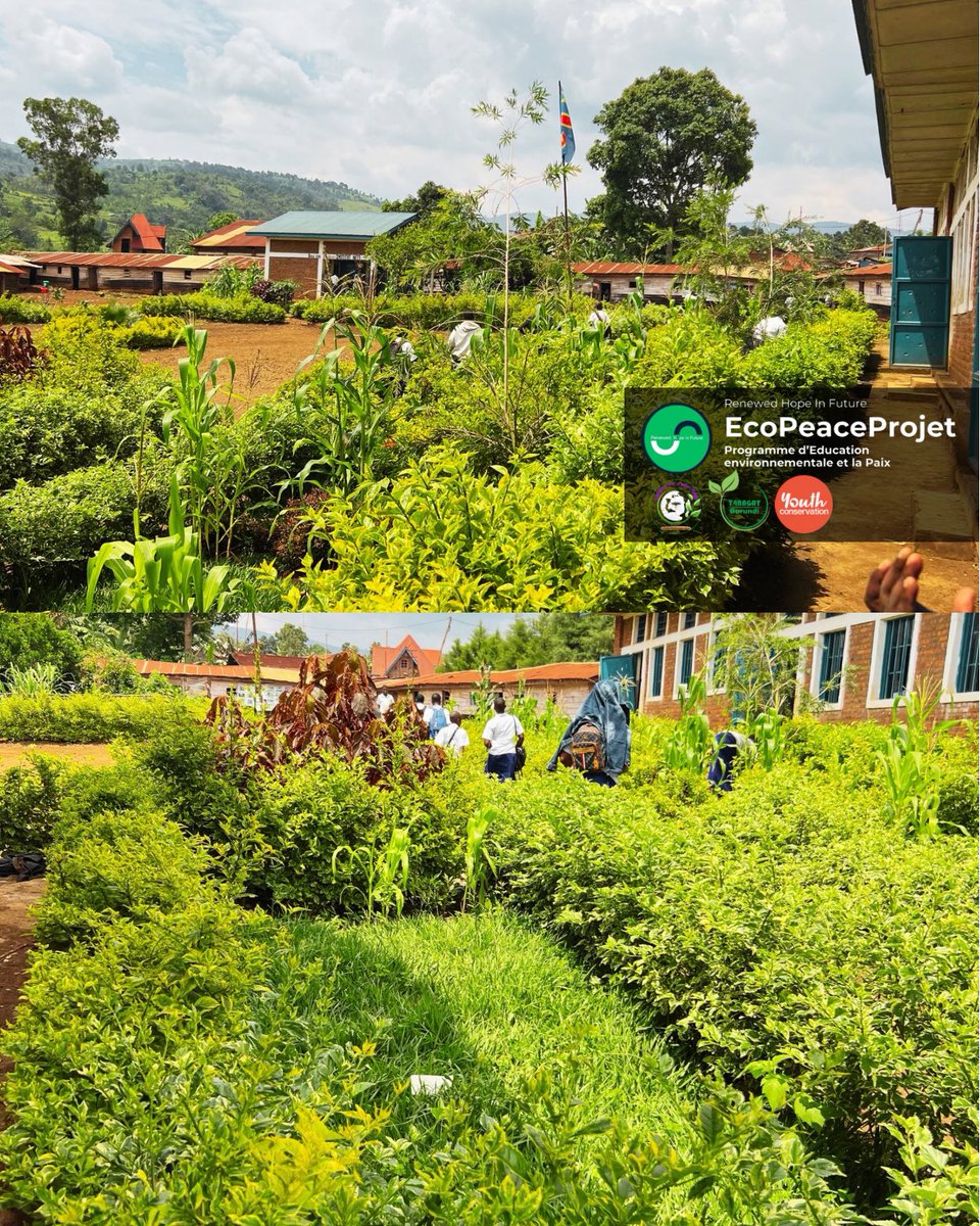 RenewedHopeF's tweet photo. EcoPeaceProjet: An evaluation visit of the initiatives supported by the organization at Kabare Miti School. Significant progress in ecological school gardens and a beautiful transformation of the school’s image, enhanced by students trained under the initiative.
#ÉcolesVertes https://t.co/6WsDy9aKdO