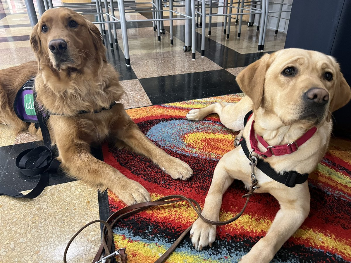 Mrs. Clarissa Nace tweet media