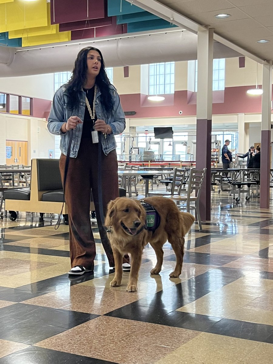Lincoln passed with flying colors today on his yearly certification tests!  Lincoln is in year 5 at BSMS!  We are SO proud of him and his AMAZING 6 handlers!  
Today, UDS trainer, Kristy brought Jacey to add a challenge for him!  
♥️💛🐕 #BSMSrocks