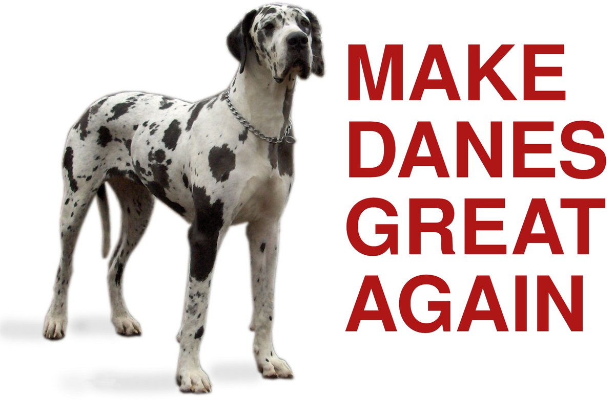 Make Danes Great Again!
