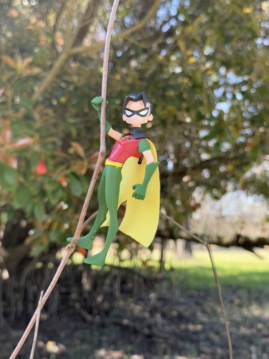 timothvy's tweet image. just got home from NC and finding this figure was awesome :]