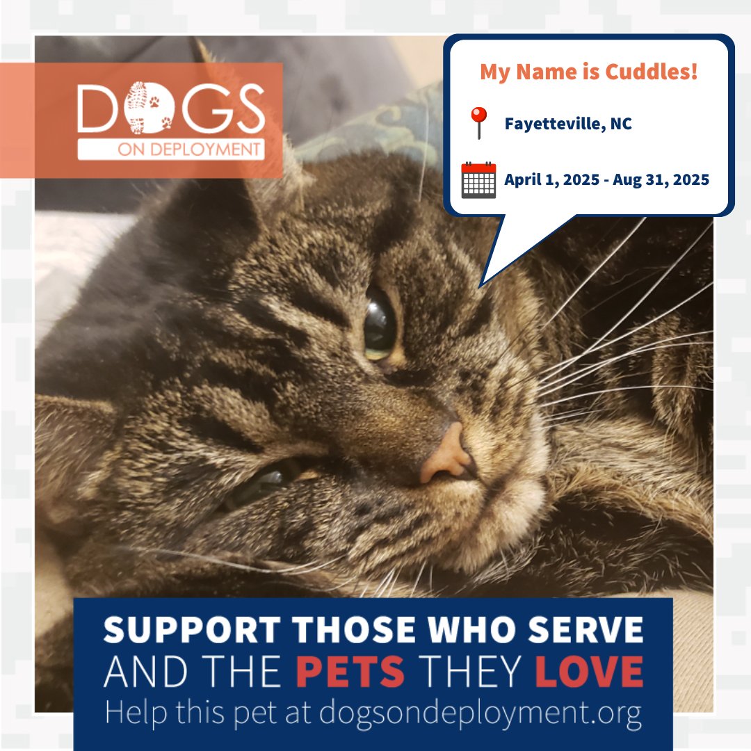 DogsonDeploymnt's tweet photo. These military pets are in need of boarders by April 1st!
Callie & Cuddles: https://t.co/il34P0k7QS
Tarina & Chance: https://t.co/BdMyO9oV1h
Luna: https://t.co/Nb6oXPHLHM
(Must be registered as a DoD Boarder & logged on to view all info)
#DoDFoster #DogsonDeployment https://t.co/CmRgeIEydL