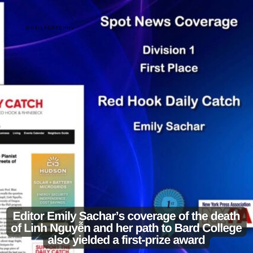 The Daily Catch tweet media