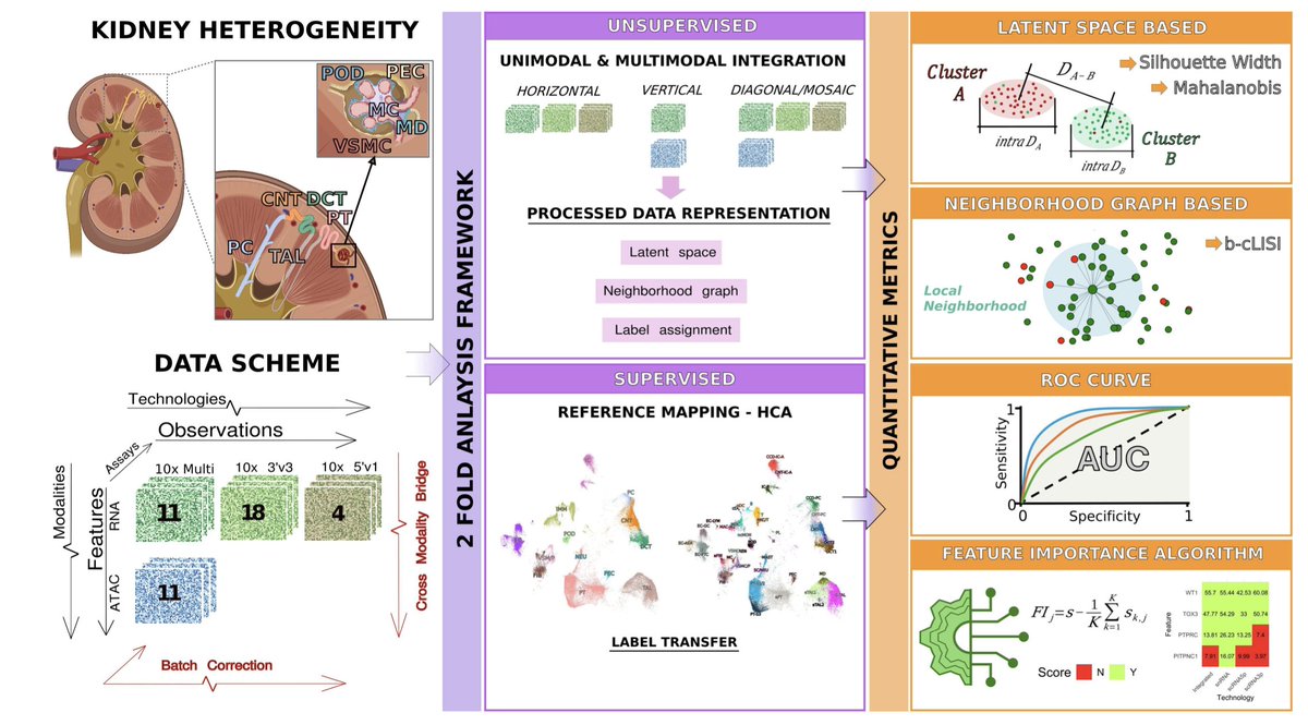 Min Dai (@artofbiology) on Twitter photo Systematic evaluation of single-cell multimodal data integration for comprehensive human reference atlas | bioRxiv | from <a href="/eli_mereu/">Elisabetta Mereu 🇺🇦</a> and <a href="/jzlevin/">Joshua Levin</a> labs biorxiv.org/content/10.110… #singlecell #scATACseq Systematic evaluation of single-cell multimodal data integration for comprehensive human reference atlas | bioRxiv | from <a href="/eli_mereu/">Elisabetta Mereu 🇺🇦</a> and <a href="/jzlevin/">Joshua Levin</a> labs biorxiv.org/content/10.110… #singlecell #scATACseq