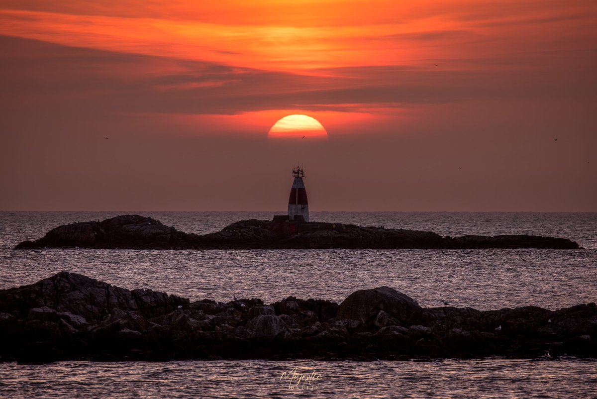 majestic_dublin's tweet photo. Sunrise over Muglins lighthouse off the coast of dalkey
#dalkey #muglinslighthouse #dublin #Ireland #sunrise https://t.co/TM4cskt290