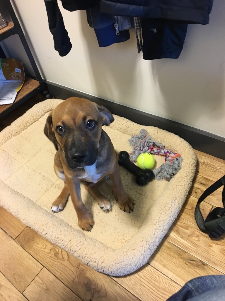 97 Switch tweet media